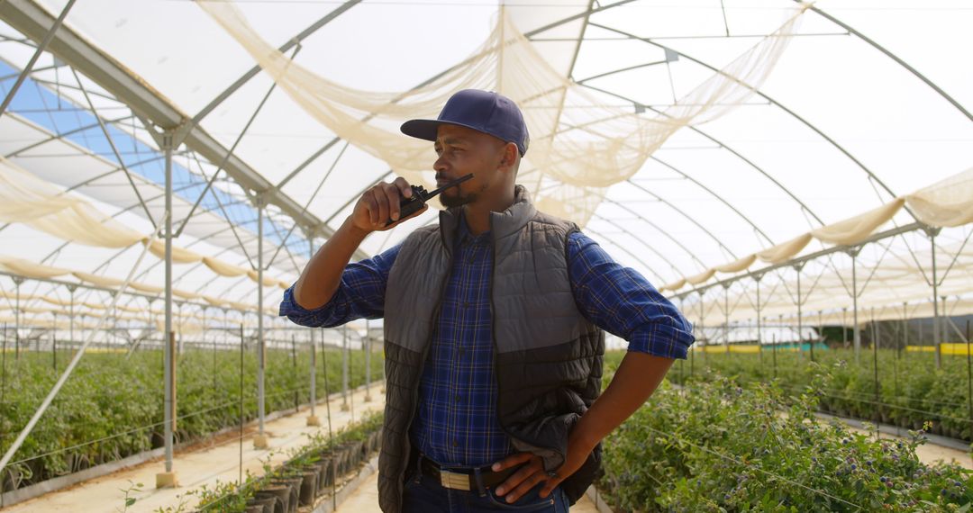 Focused Worker Communicating via Walkie Talkie in Greenhouse