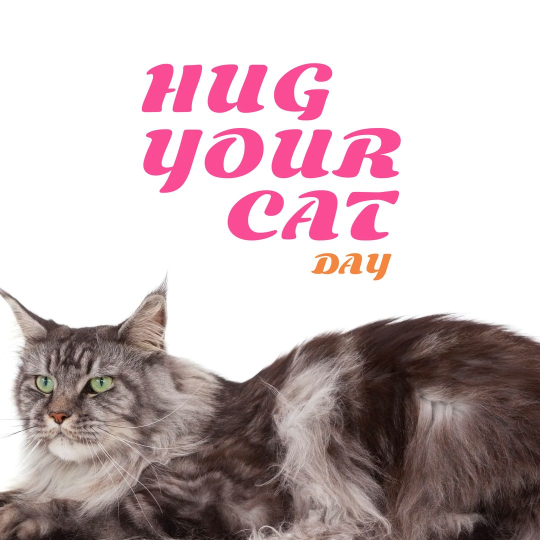 Hug Your Cat Day Celebration with Furry Cat and Bold Text