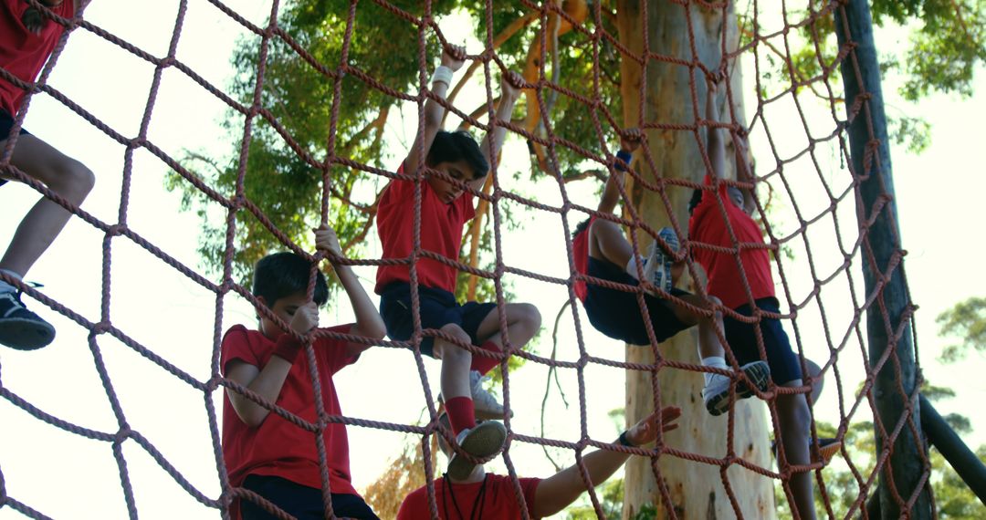 Children Climbing Rope Wall in Outdoor Adventure Activity - Free Images, Stock Photos and Pictures on Pikwizard.com