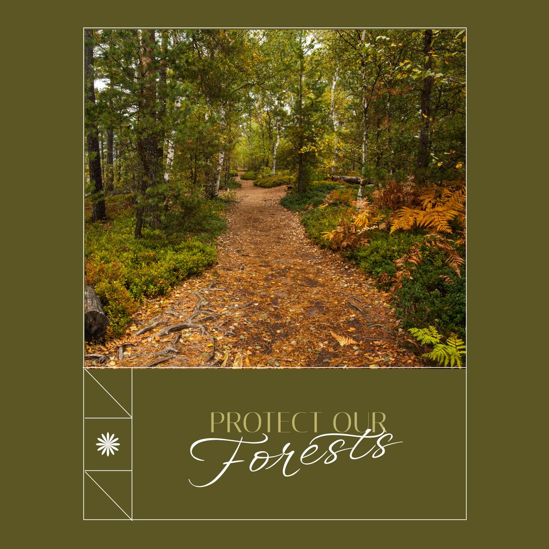 Protect Our Forests Poster with Scenic Green Forest Path - Download Free Stock Templates Pikwizard.com