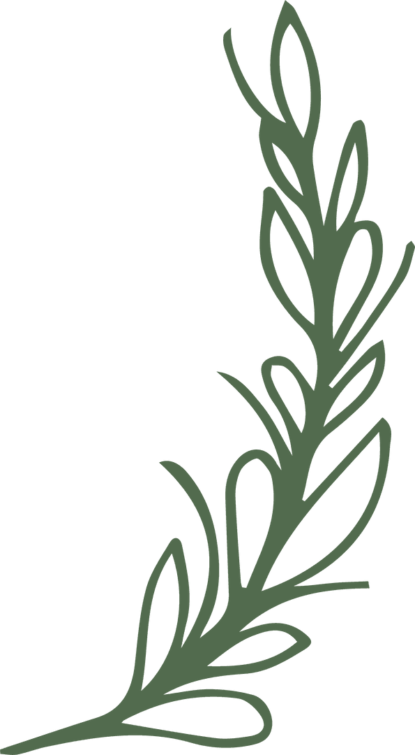 Minimalist Green Leafy Branch on Transparent Background