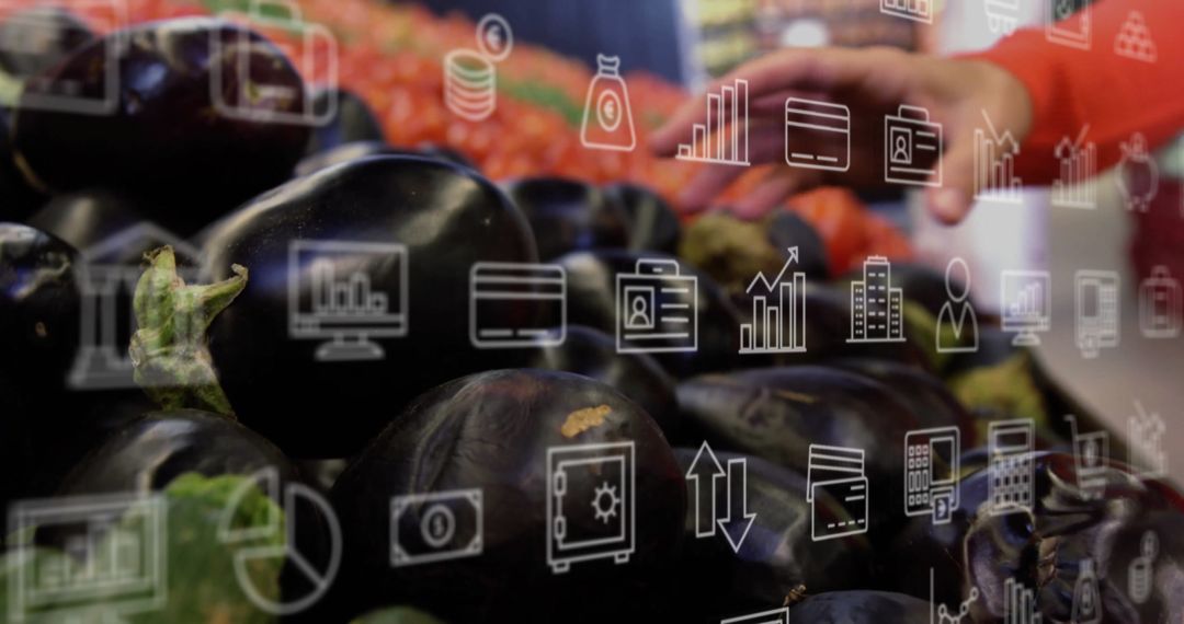 Digital Interaction with Fresh Eggplants in Market Concept