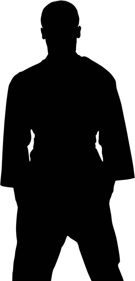 Silhouette of Karate Fighter on Transparent Png Background