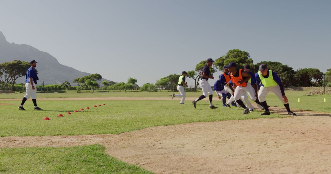 Baseball Team Training on Sunny Field - Free Images, Stock Photos and Pictures on Pikwizard.com