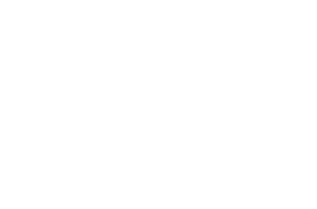Digital Floral Pattern Rows on Transparent Background
