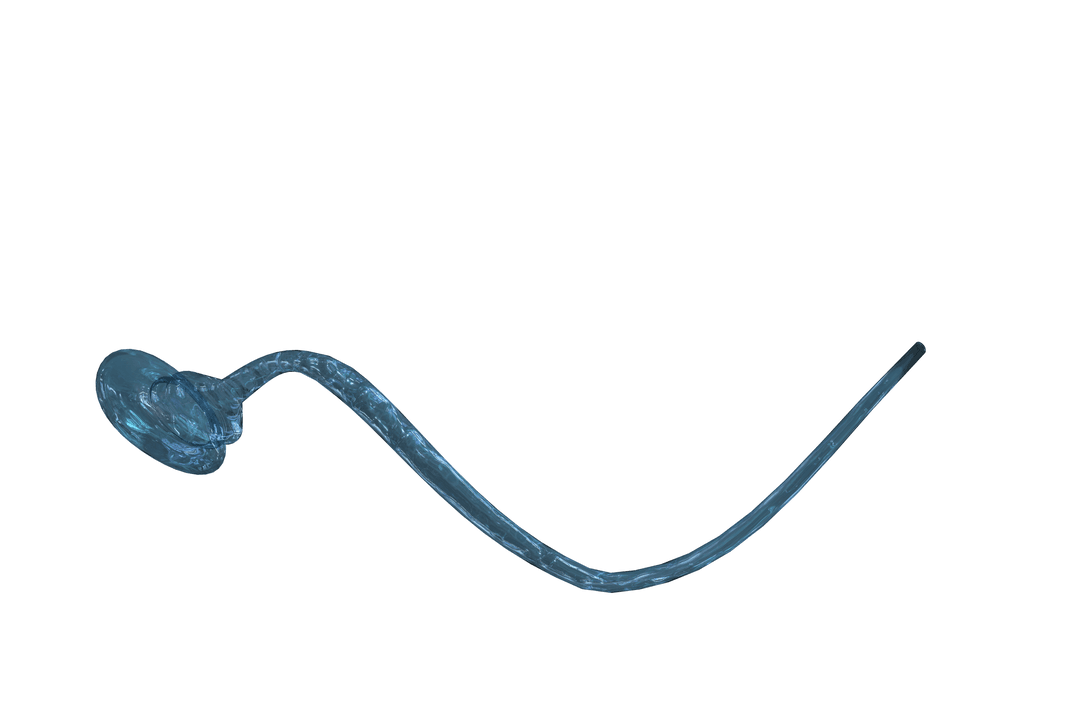 Illustration of Transparent Sperm Cell With Detailed Texture