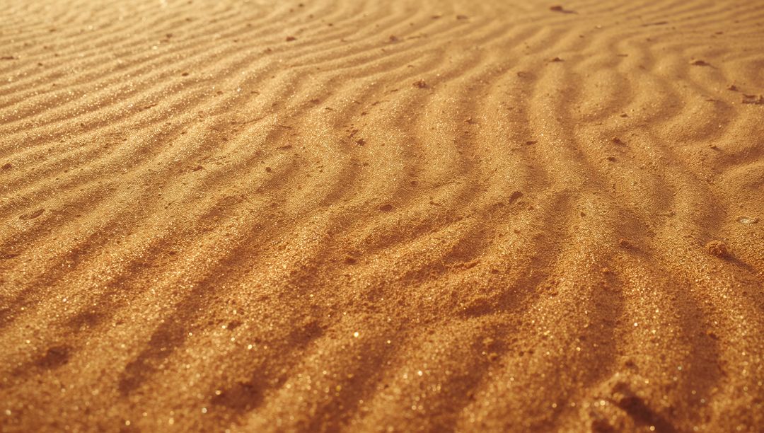 Sand Dunes with Golden Ripples in Sunlit Desert