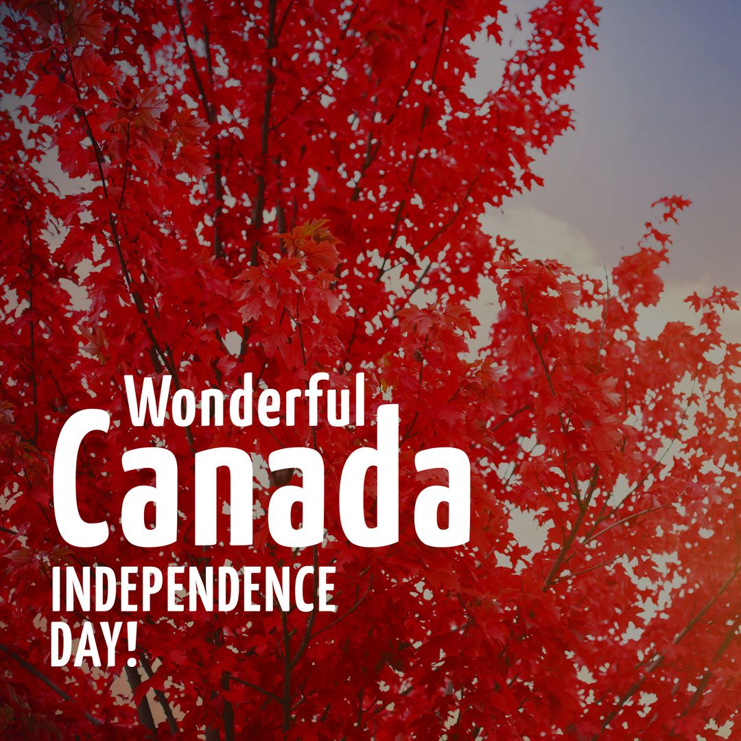 Canada Independence Day Celebration With Red Maple Leaves