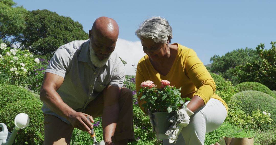 African american senior couple gardening together in the garden on a bright sunny day - Free Images, Stock Photos and Pictures on Pikwizard.com