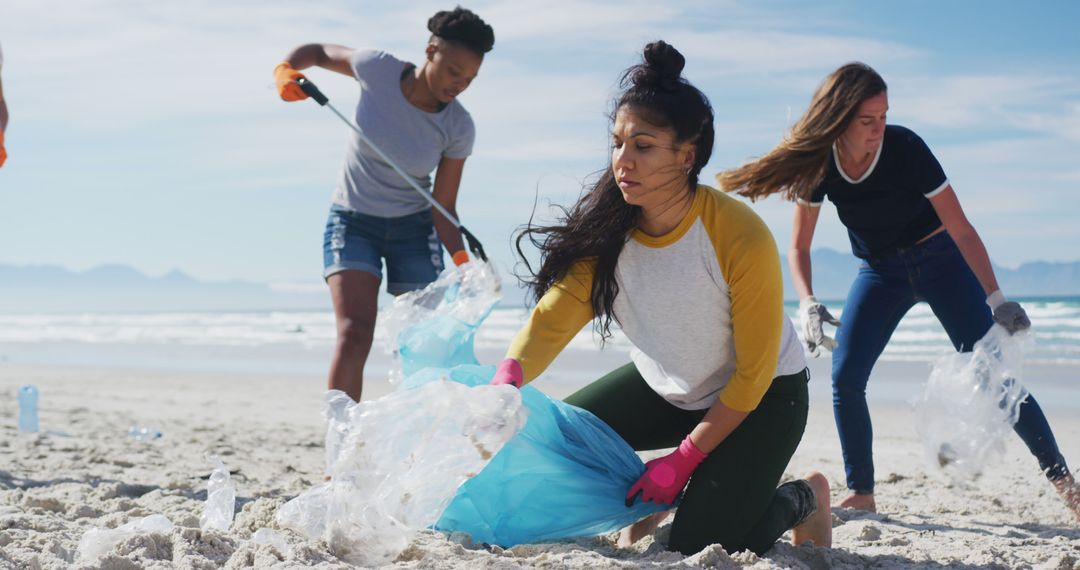 Volunteers Collecting Plastic Waste During Beach Cleanup - Free Images, Stock Photos and Pictures on Pikwizard.com