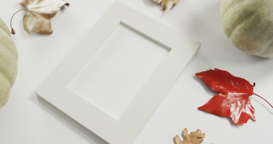 Empty frame with copy space, pumpkin and autumn leaves against white background - Free Images, Stock Photos and Pictures on Pikwizard.com