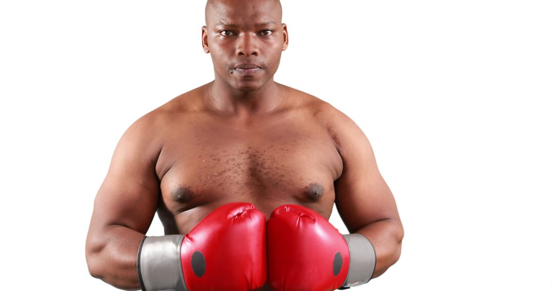 Determined Boxer Posing with Red Gloves Isolated on White Background - Free Images, Stock Photos and Pictures on Pikwizard.com