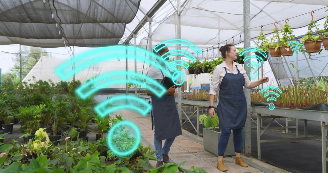 Greenhouse Workers Monitoring Smart Plants with Tablet and WiFi Connectivity Visuals