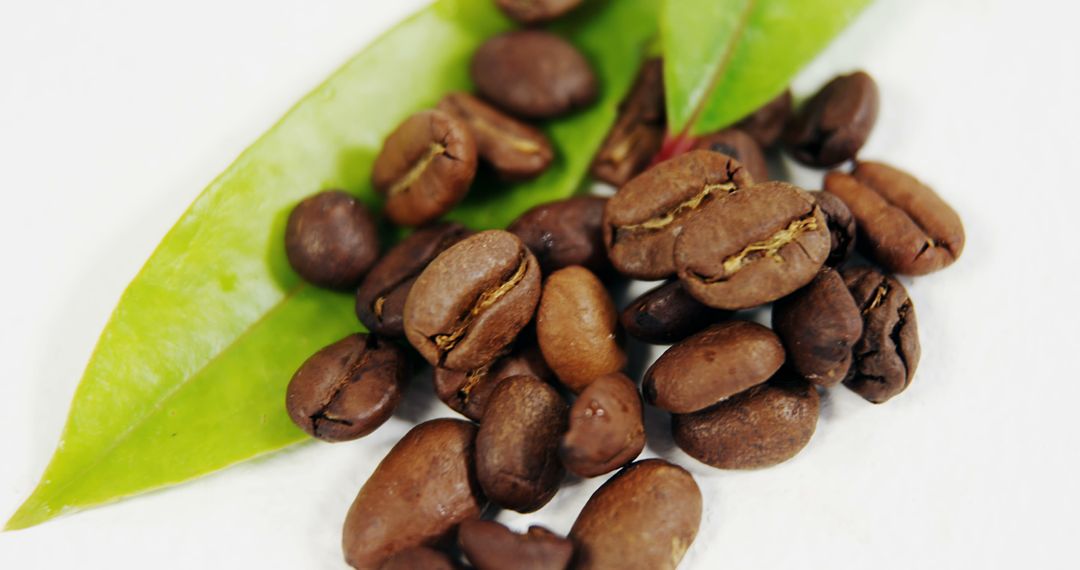 Close-Up of Coffee Beans on Green Leaves - Free Images, Stock Photos and Pictures on Pikwizard.com