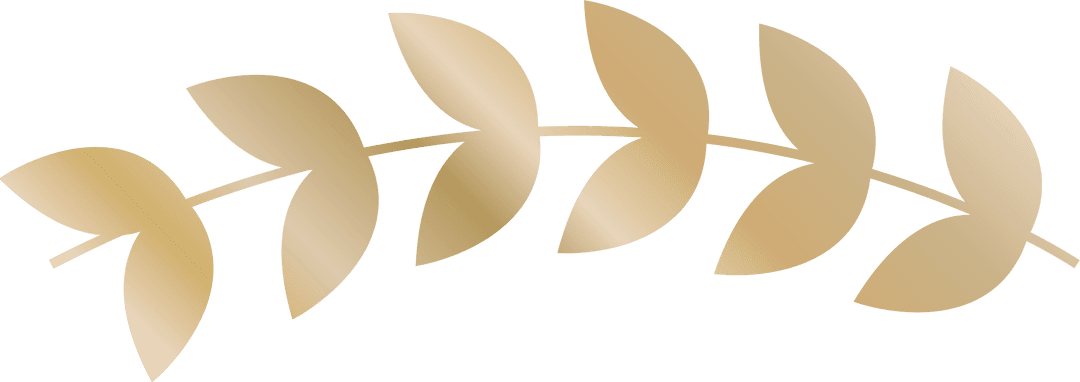 Gold Laurel Branch on Transparent Background with Metallic Design