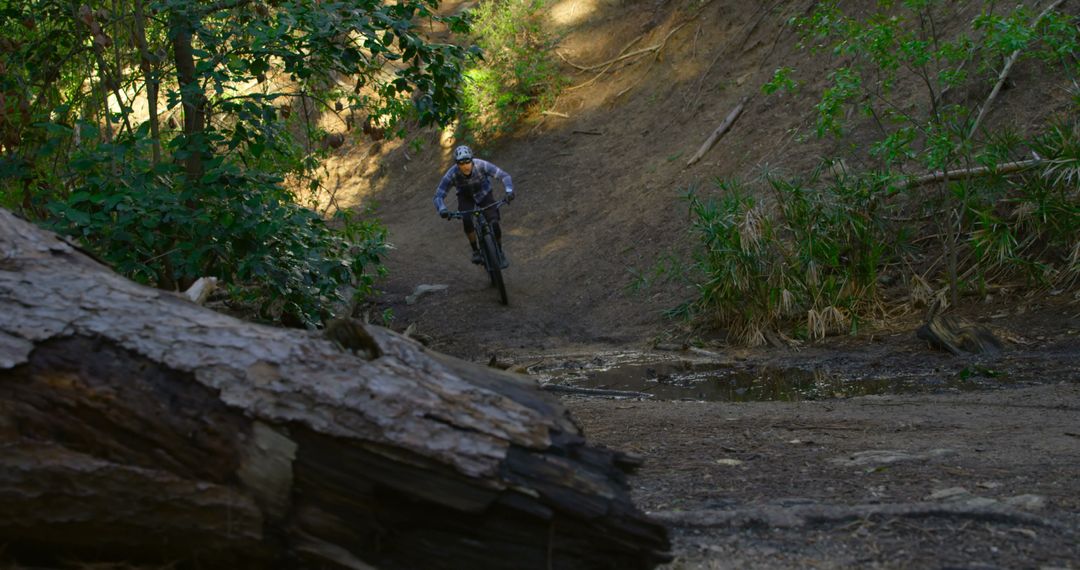 Cyclist Riding Through Forest Trail on Mountain Bike - Free Images, Stock Photos and Pictures on Pikwizard.com