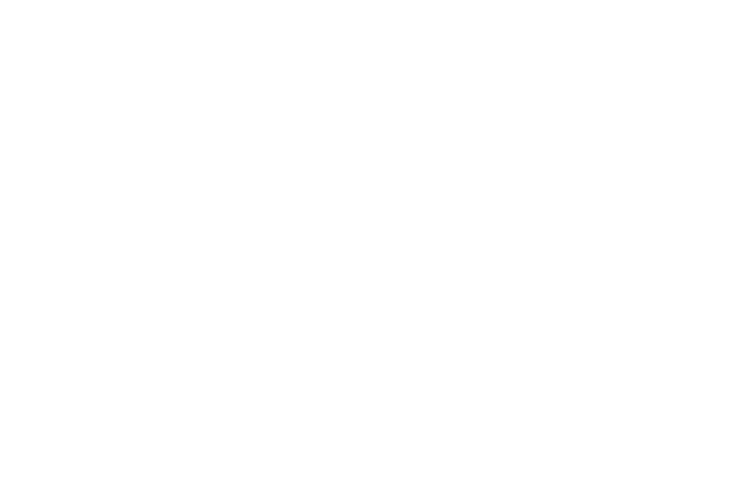 Silhouette of Hands Holding 'Organization' Word on Transparent Background
