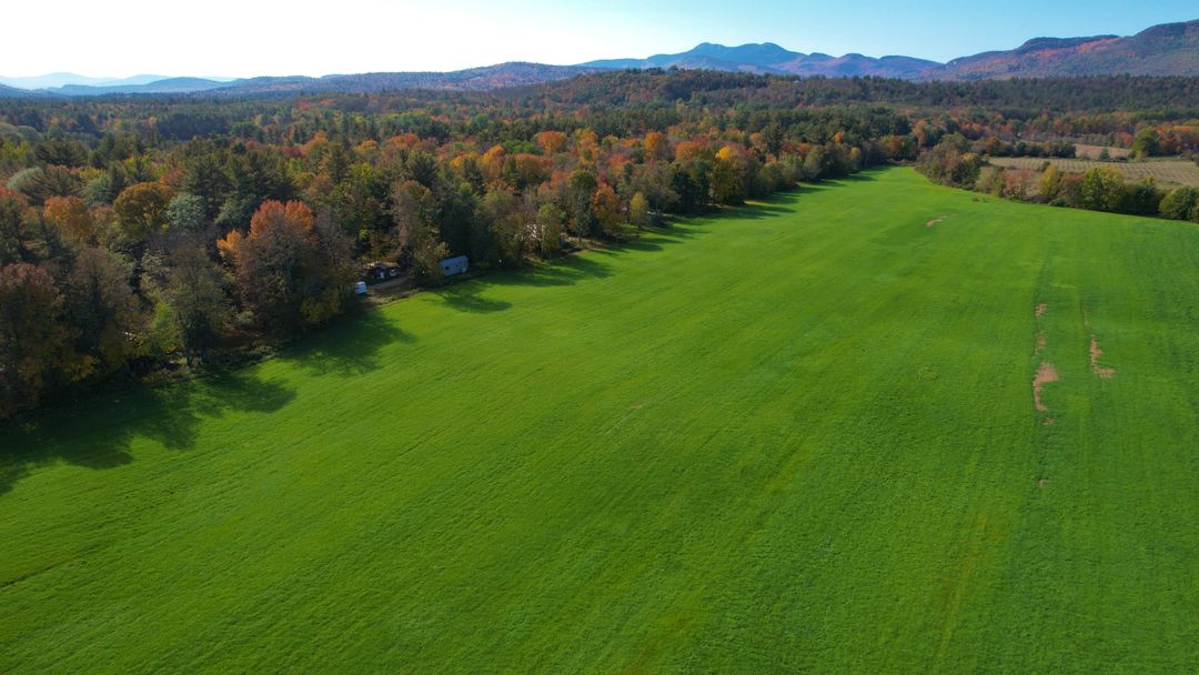 Aerial view showing expansive green meadow bordering autumn forest and distant mountains