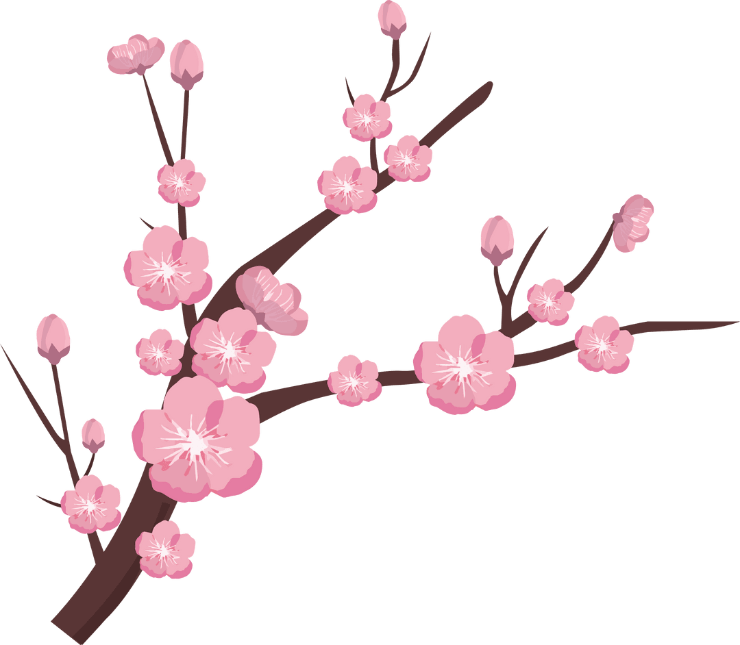 Botanical Design of Flowering Branch with Transparent Background