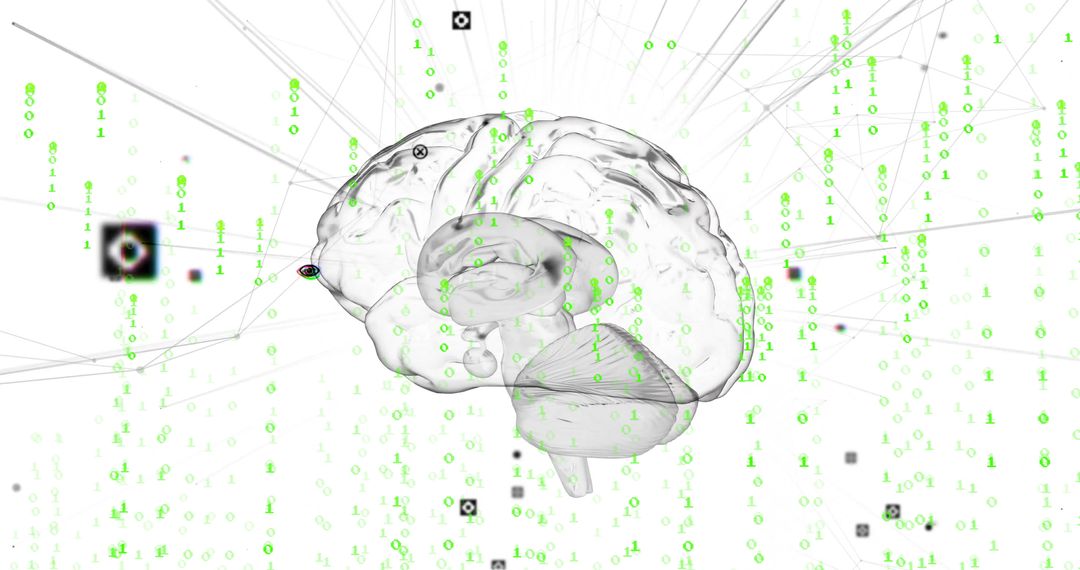 Transparent Human Brain with Binary Code in Digital Network Space