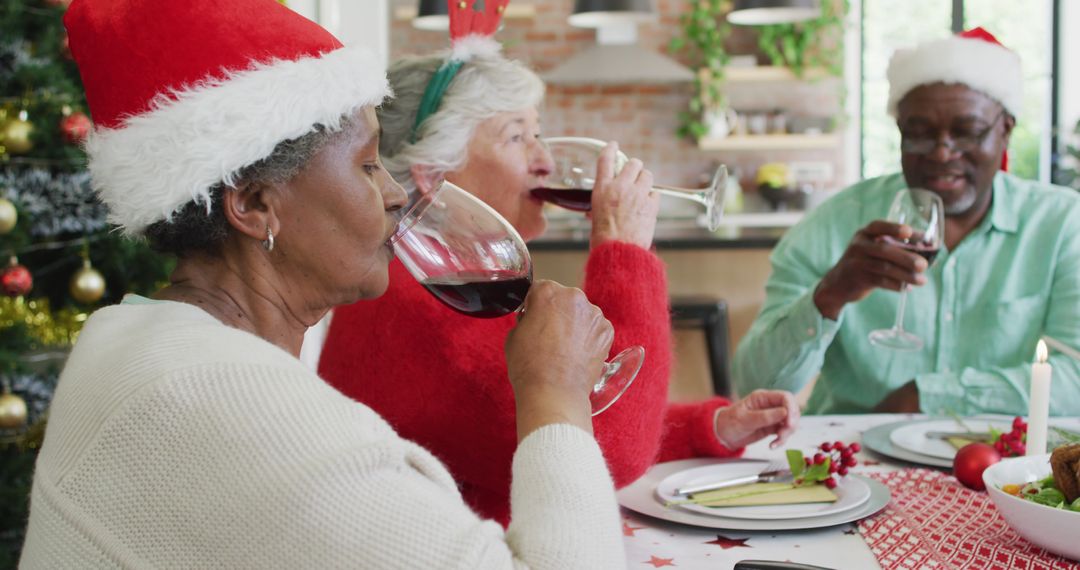 Happy group of diverse senior friends celebrating meal and drinking vine at christmas time - Free Images, Stock Photos and Pictures on Pikwizard.com