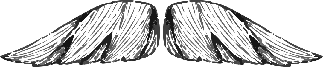 Vector art with spreading grey layered feathered wings, transparent backdrop