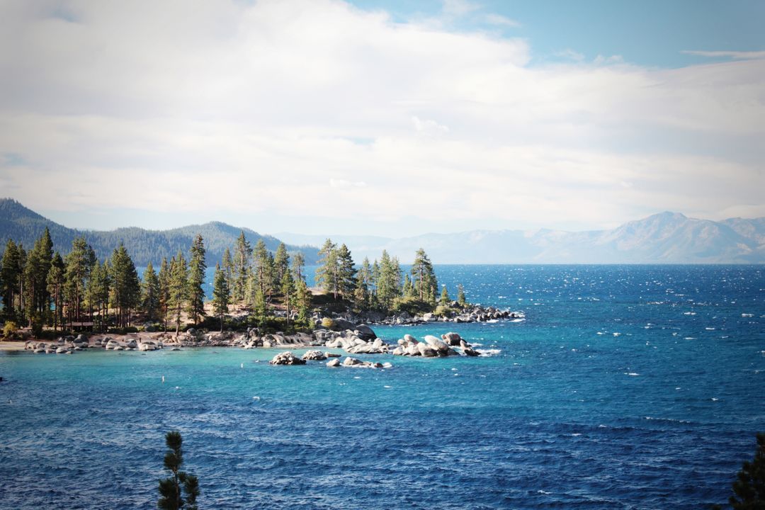Scenic View of Pristine Lake Tahoe with Pine Trees and Mountain Landscape - Free Images, Stock Photos and Pictures on Pikwizard.com