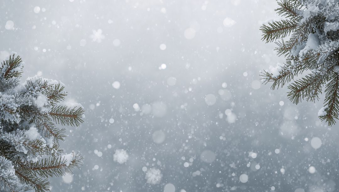 Snow falling through frosty pine branches with soft bokeh creating serene winter forest background