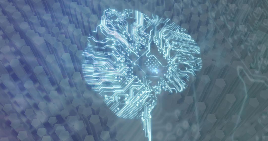 Digital Brain Interface with Circuit Pathways in Virtual Environment