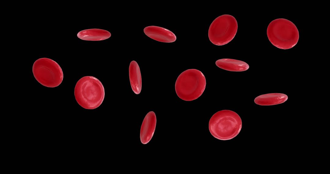 Red Blood Cells Floating on Black Background for Scientific Study