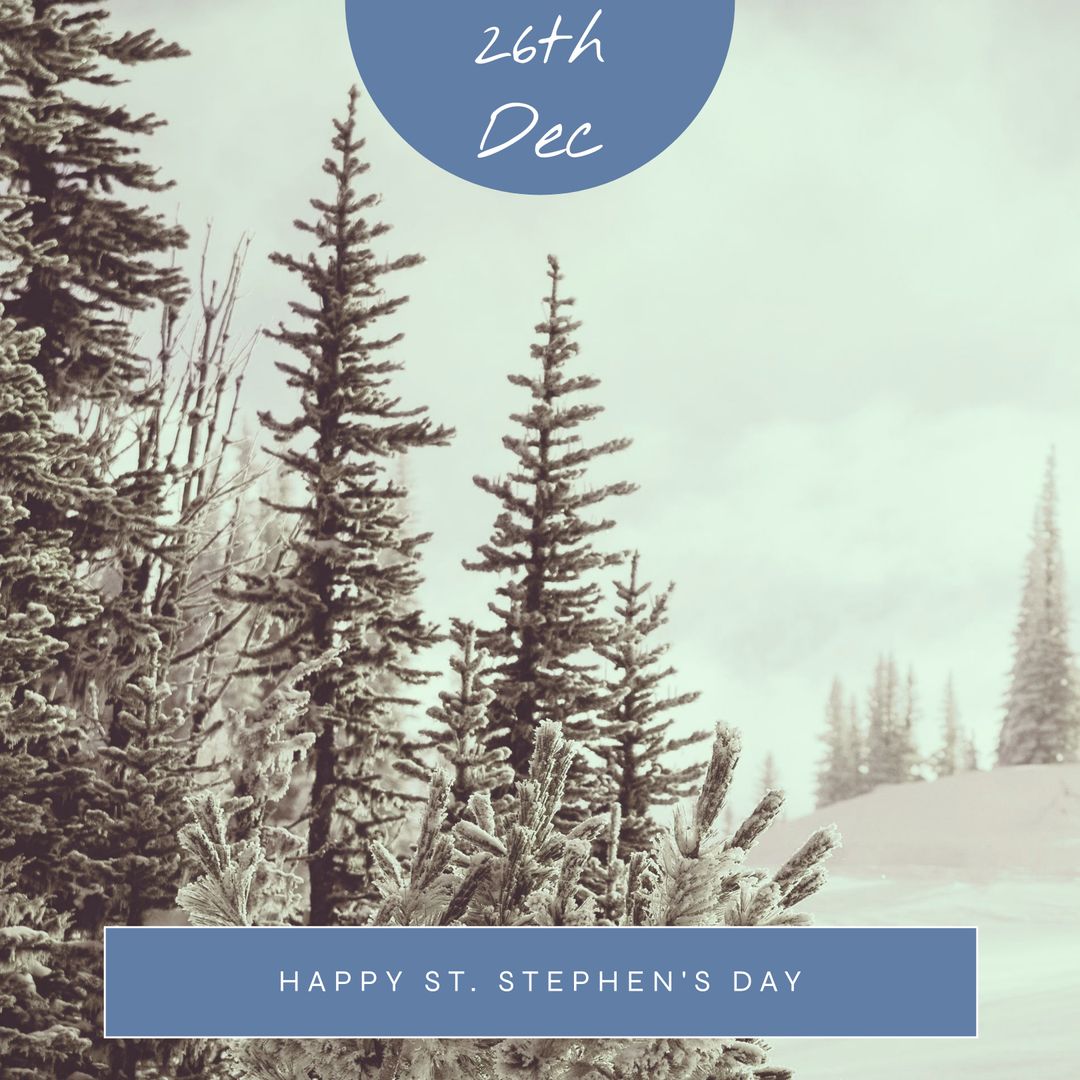 St. Stephen's Day Wishes Amidst Snowy Pines