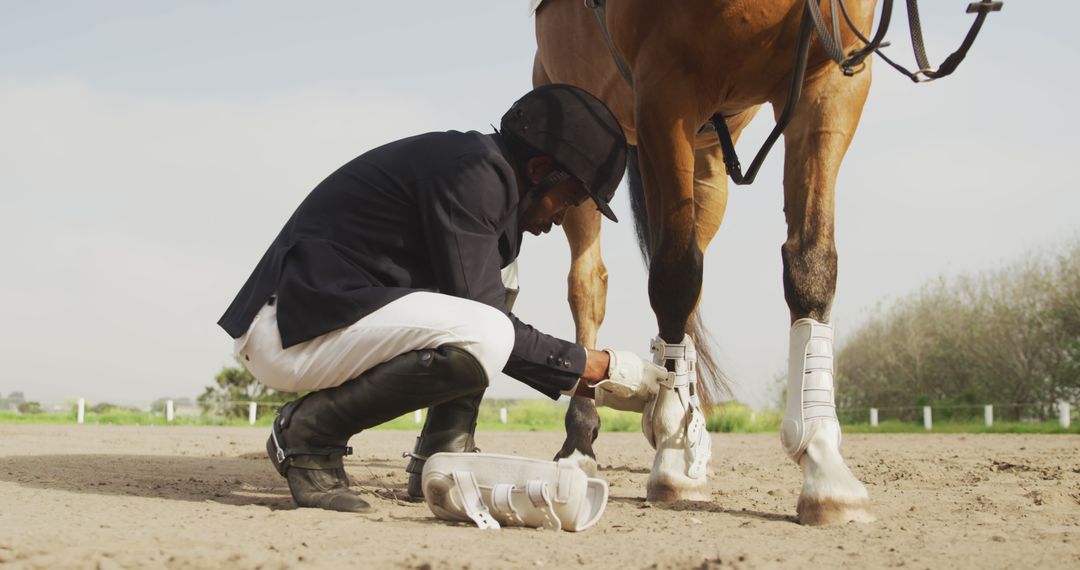 Rider Preparing Horse for Equestrian Event with Leg Protection - Free Images, Stock Photos and Pictures on Pikwizard.com