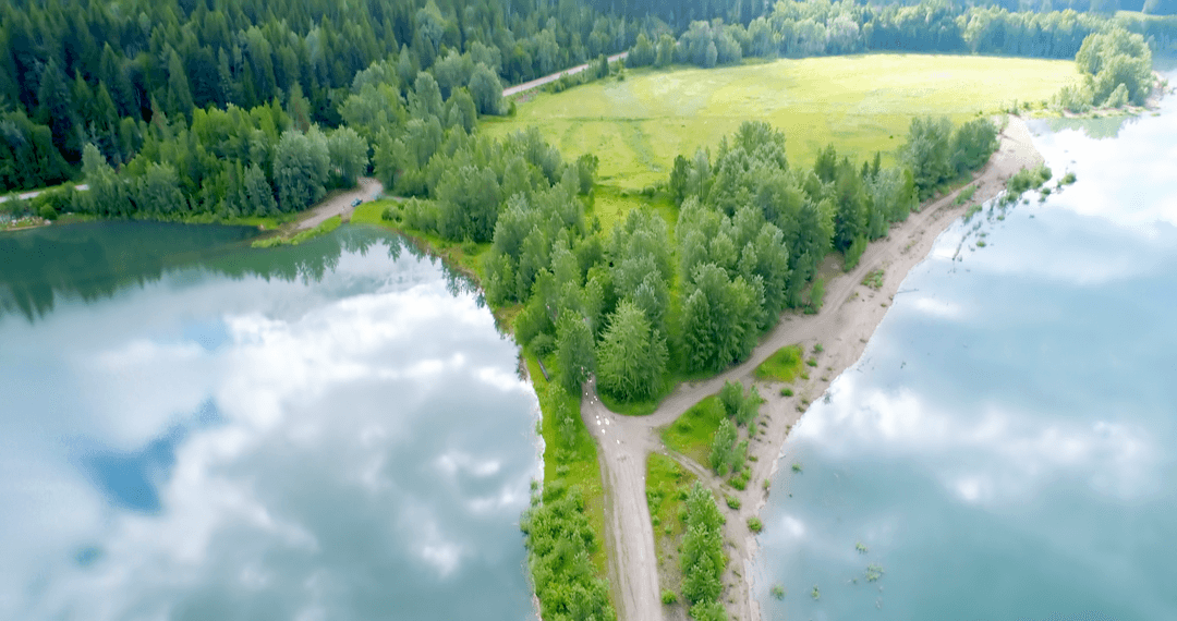 High Angle Transparent View Trees Surrounded by Calm Lake