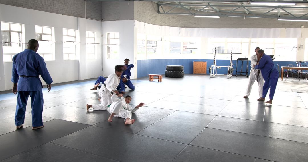 Martial Arts Training in Spacious Dojo with Judo Throws and Practice