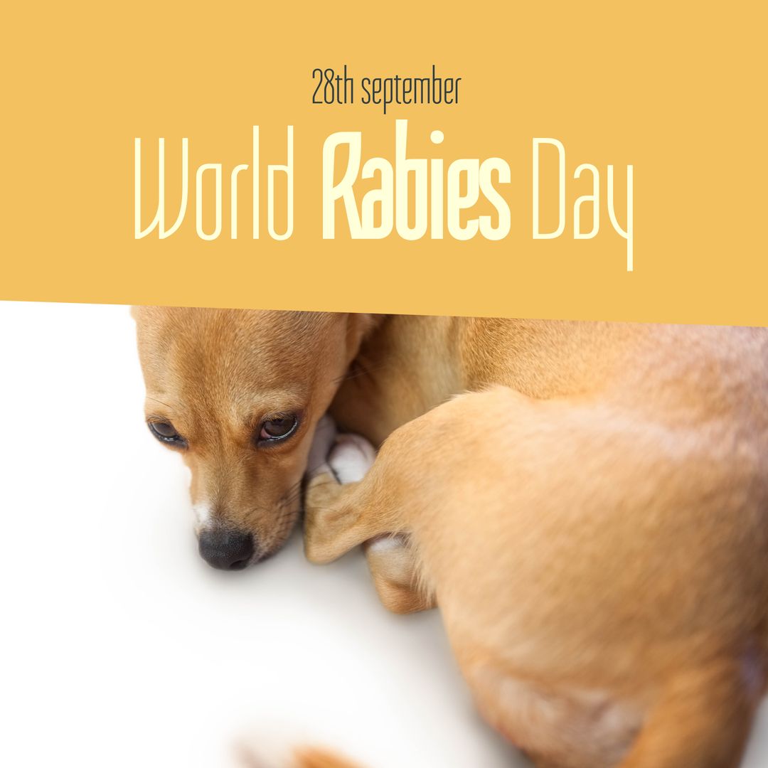 World Rabies Day Awareness with Relaxing Dog