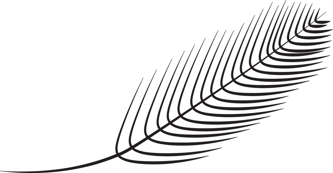 Black Feather Illustration on Transparent Background