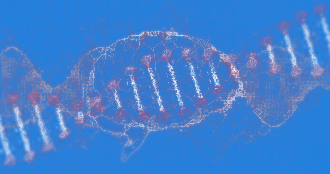 DNA Strand Over Human Brain with Digital Elements in Blue