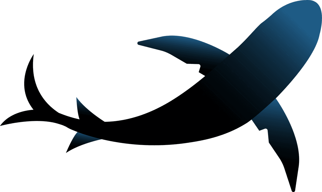 Abstract Transparent Fusion of Fish Tail and Airplane