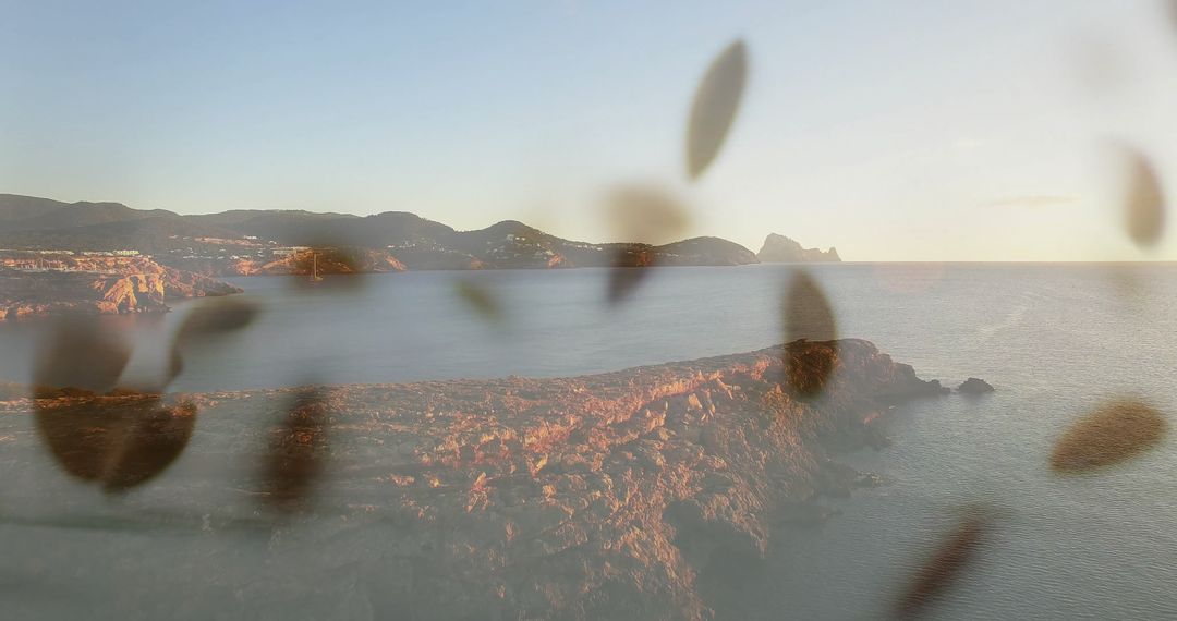 Tranquil Rocky Coastline with Floating Leaves at Sunset