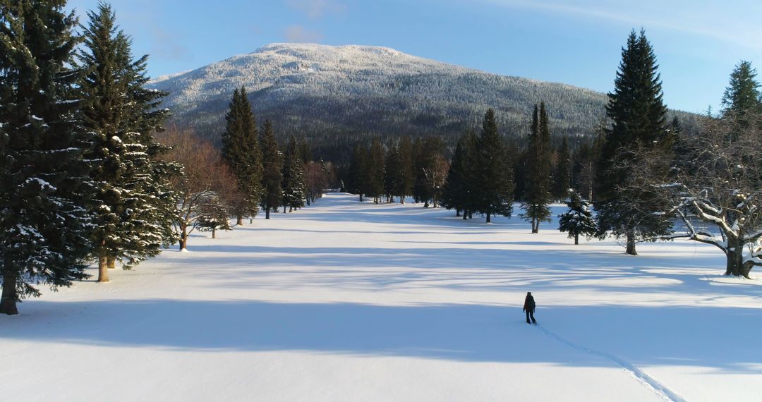 Person Walking in Snowy Park with Mountains in Background - Free Images, Stock Photos and Pictures on Pikwizard.com