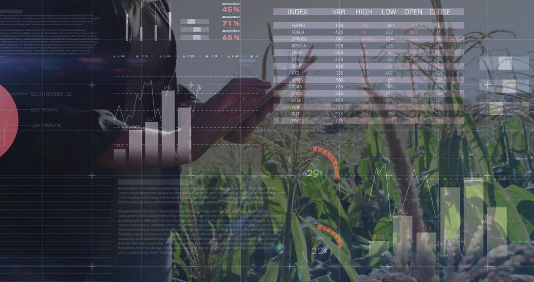 Agricultural Innovation: Woman Using Tablet in Corn Field with Overlay Charts