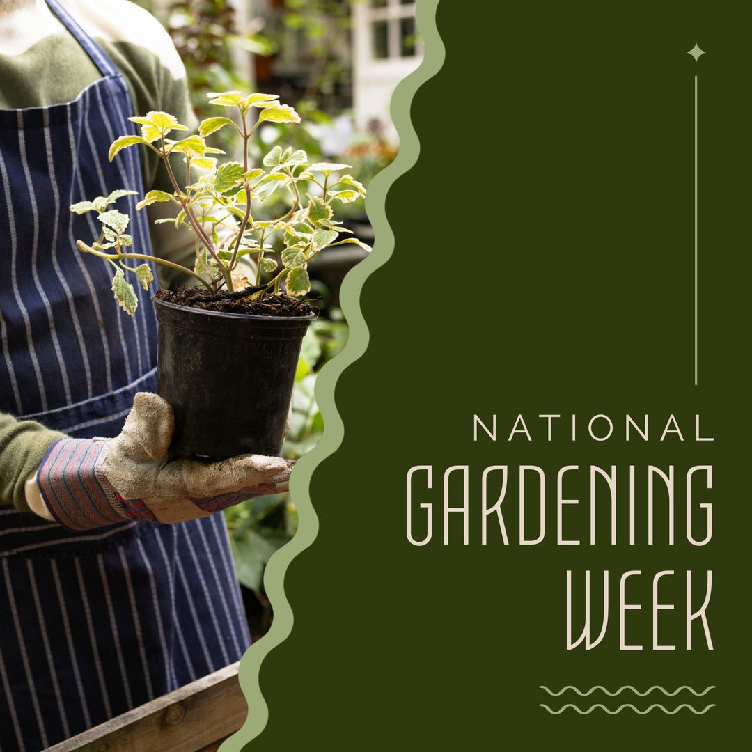 Celebrating National Gardening Week with a Plant Enthusiast