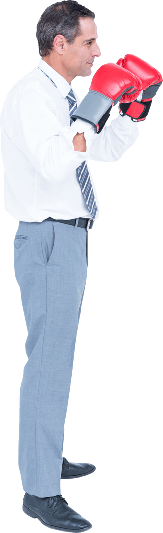 Businessman Wearing Boxing Gloves Side Profile Near Transparent Background