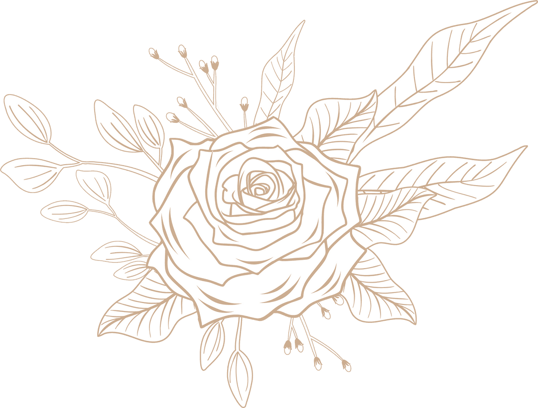 Elegant Rose Blossom in Cream Line Art on Transparent Background