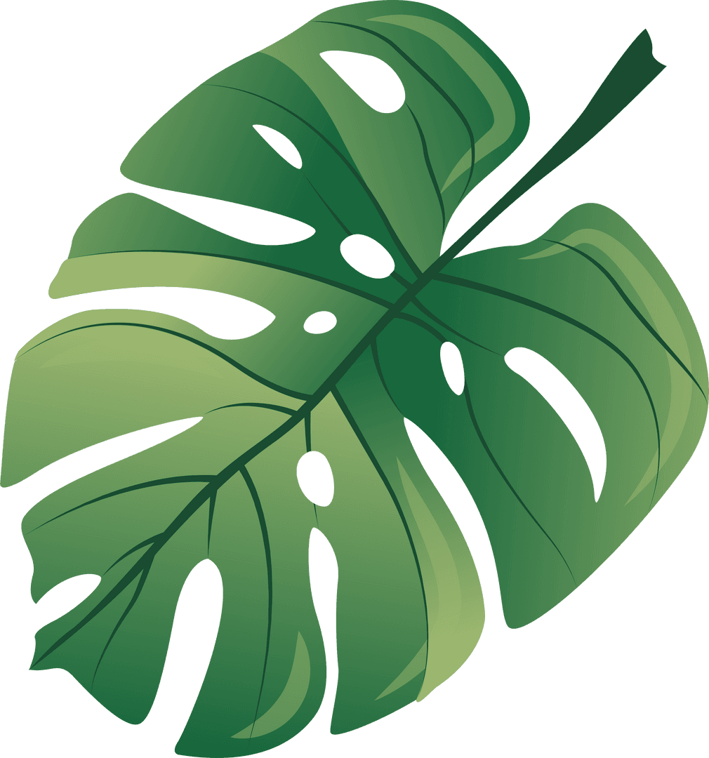 Transparent Monstera Deliciosa Leaf Digital Artwork