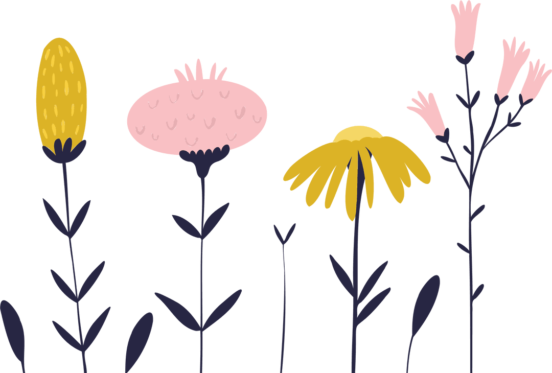 Colorful Flower Illustration on Transparent Background