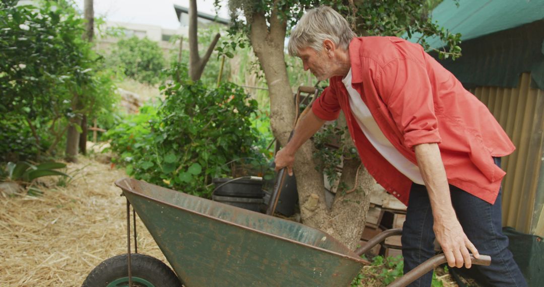 Senior Man Gardening with Wheelbarrow and Fork in Lush Backyard