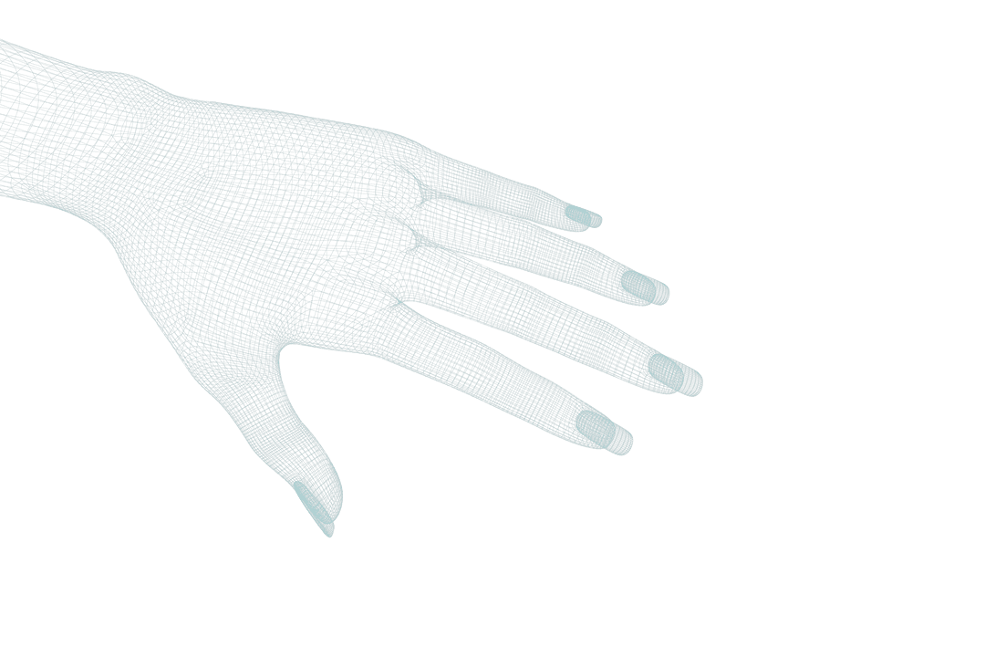 Transparent 3D Hand Model with Wireframe Detail