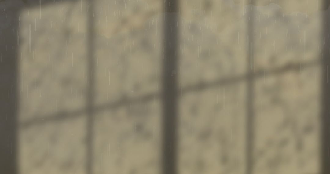 Abstract Shadows of Rainy Day on Grey Wall