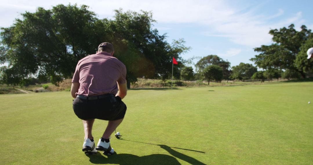 Golfer Concentrating on Aiming Putt on Green Course - Free Images, Stock Photos and Pictures on Pikwizard.com